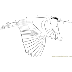 Heron Fly Bird Dot to Dot Worksheet