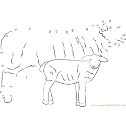 Sheep with her Baby Dot to Dot Worksheet