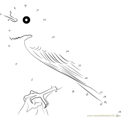 American Robin Leucistic Bird Dot to Dot Worksheet
