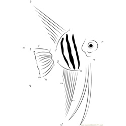 Angelfish Up Dot to Dot Worksheet