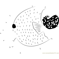 Blue Mask Angelfish Dot to Dot Worksheet