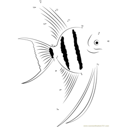 Cute Angelfish Dot to Dot Worksheet