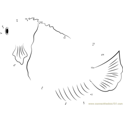 Joculator Angelfish Dot to Dot Worksheet
