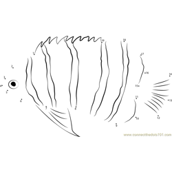 Peppermint Angelfish Dot to Dot Worksheet