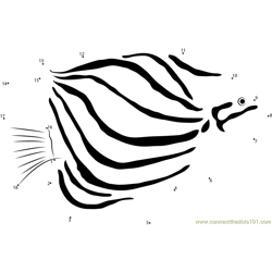 Striped Angelfish Dot to Dot Worksheet