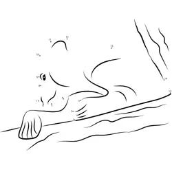 Bear on a Branch Dot to Dot Worksheet