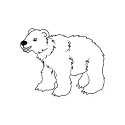 Shaggy Woodland Ursine Creature Dot to Dot Worksheet