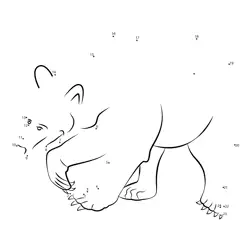 Wild bear sequence fun Dot to Dot Worksheet