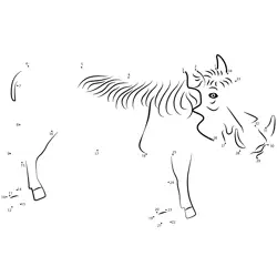 Wild Pig Connect Points Dot to Dot Worksheet