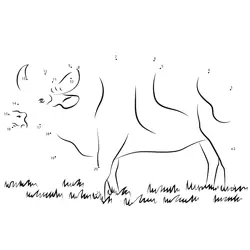 Buffalo Standing on Grass Dot to Dot Worksheet