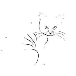 Intense Stare of a Feline Dot to Dot Worksheet