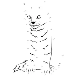 Form the Funny Sitting Feline Dot to Dot Worksheet
