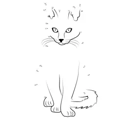 Pondering Feline Numeric Challenge Dot to Dot Worksheet