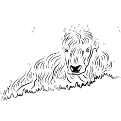 Peaceful Bovine Laying Down Dot to Dot Worksheet