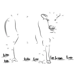 Standing Bovine Figure Dot to Dot Worksheet