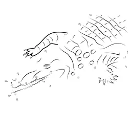 African Crocodile Numeric Challenge Dot to Dot Worksheet