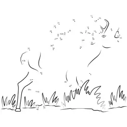 Red Deer Bellowing Diagram Dot to Dot Worksheet