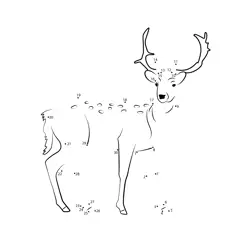 Roe Deer Form Completion Dot to Dot Worksheet