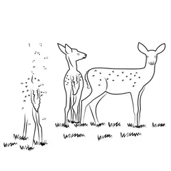 Connect Numbers to Reveal Fawn Dot to Dot Worksheet