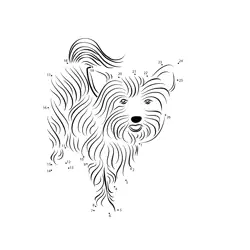 Fluffy Small Dog Pet Fun Dot to Dot Worksheet