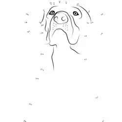 Dog Face Fun Dot to Dot Worksheet