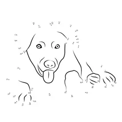 Happy Canine Figure Game Dot to Dot Worksheet