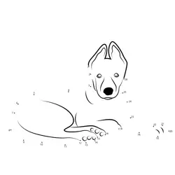German Shepherd Numeric Challenge Dot to Dot Worksheet