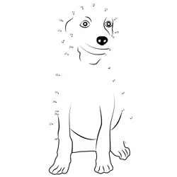 Happy Canine Pet Portrait Fun Dot to Dot Worksheet