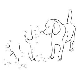 Puppies Walk Progression Dot to Dot Worksheet