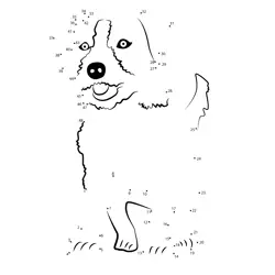 Terrier Hound Numeric Game Dot to Dot Worksheet