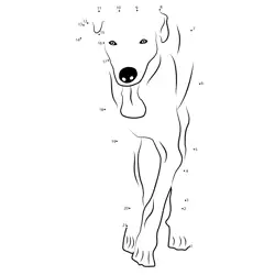 Beauceron Dog Numeric Fun Dot to Dot Worksheet