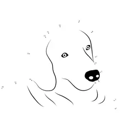 Weimaraner Dog Shape Challenge Dot to Dot Worksheet