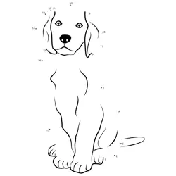 Golden Retriever Pup Formation Dot to Dot Worksheet