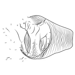 Jumbo Elephant Number Quest Dot to Dot Worksheet