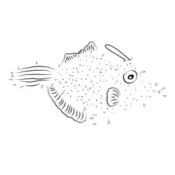 Vintage Marine Creature Sketch Dot to Dot Worksheet
