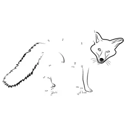 Red Fox Number Activity Dot to Dot Worksheet