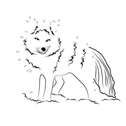 Arctic Fox Dot Game Dot to Dot Worksheet