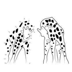 Young Giraffes Gentle Spar Dot to Dot Worksheet