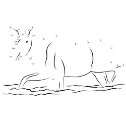 Hippo Bathing in River Dot to Dot Worksheet