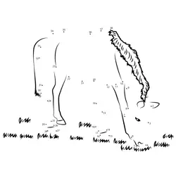 Meadow Horse Numerical Challenge Dot to Dot Worksheet