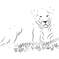 Majestic African Predator Creation Dot to Dot Worksheet