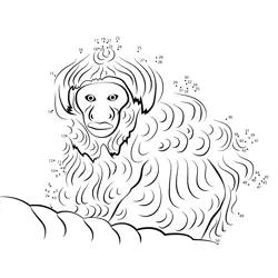 Furious Primate Number Quest Dot to Dot Worksheet