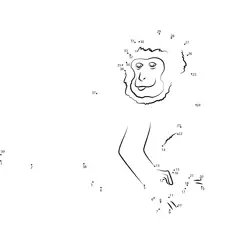 Fun Monkey Sequential Challenge Dot to Dot Worksheet