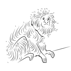 Golden Monkey Figure Challenge Dot to Dot Worksheet