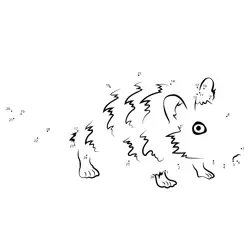 Young Rodent Number Sequence Fun Dot to Dot Worksheet