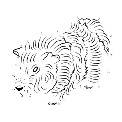 Guinea Pig Sequence Quest Dot to Dot Worksheet