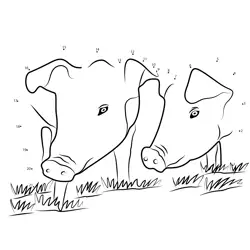 Farm Animal Numeric Challenge Dot to Dot Worksheet