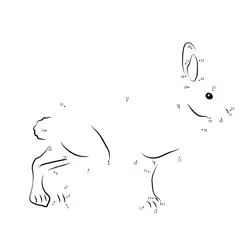Wild Rabbit Numeric Game Dot to Dot Worksheet
