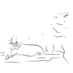 Marine Mammal Ocean Creature Dot to Dot Worksheet