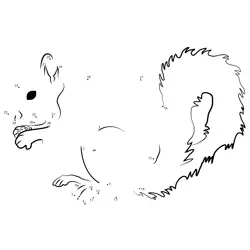 Build a Furry Squirrel Dot to Dot Worksheet